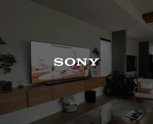 sony-845X684